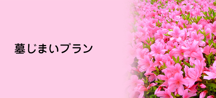 永代供養改葬プラン