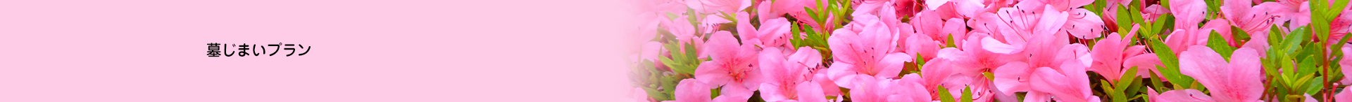 永代供養改葬プラン